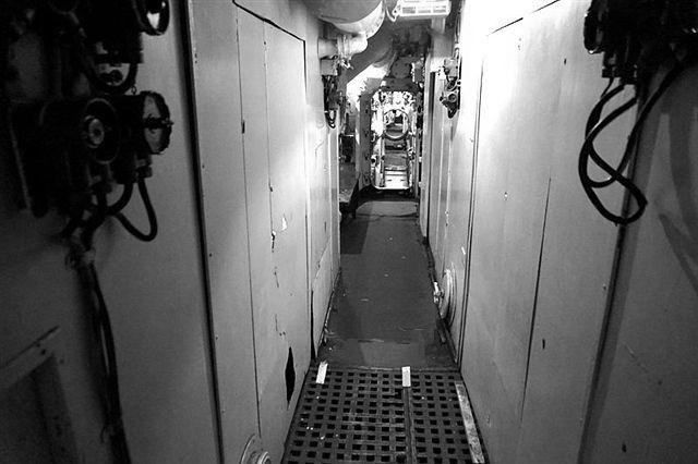 记忆的闸门什么意思,记忆里的天花板完整版