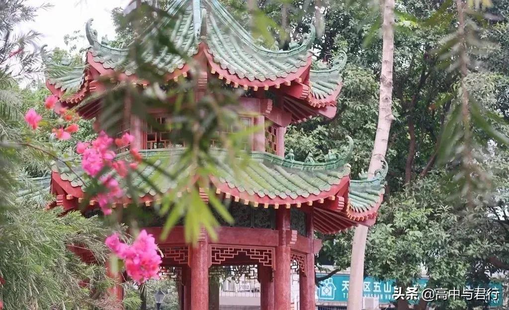 酸奶很出名的大学,广州盛产酸奶的大学