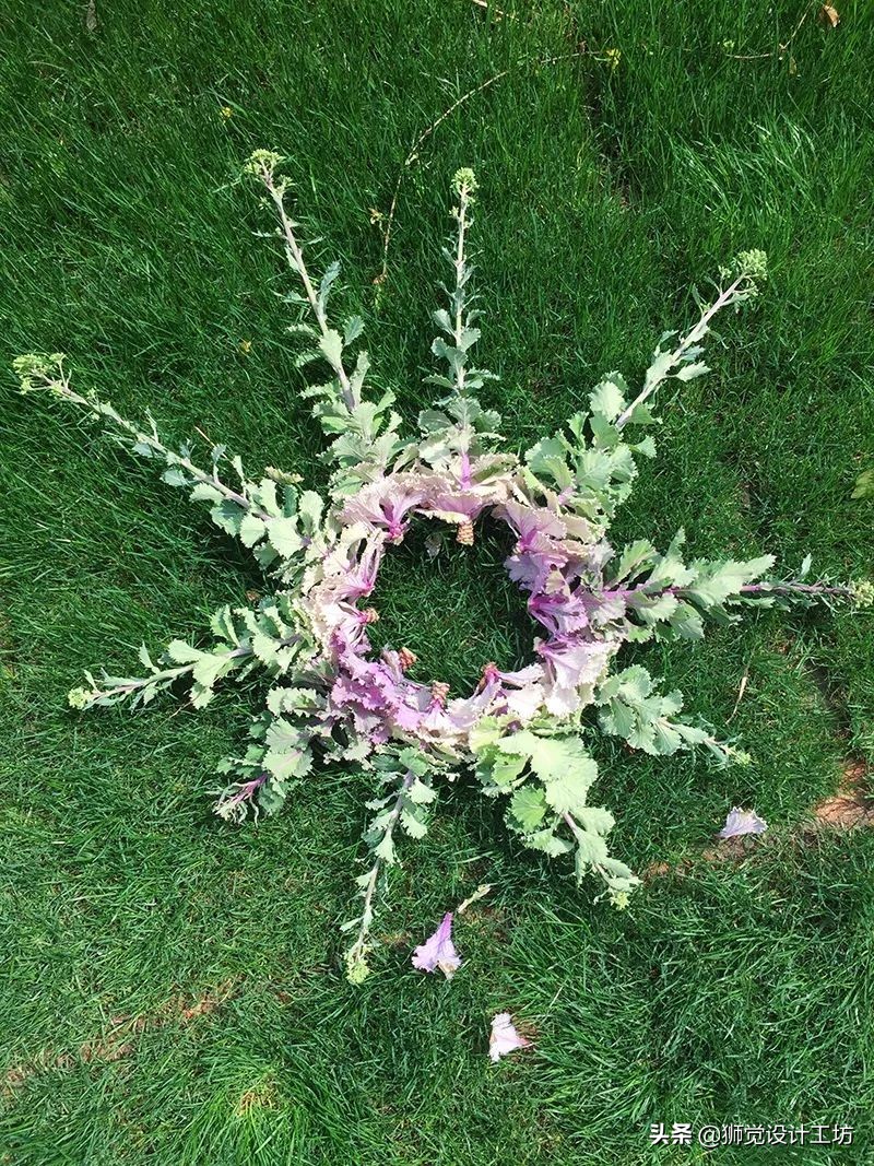 高手出品,纯干货看完这篇别再说你不懂配色