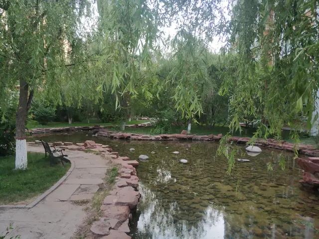 绿地城二期绿化乌鲁木齐,乌鲁木齐中海万锦公馆绿化环境