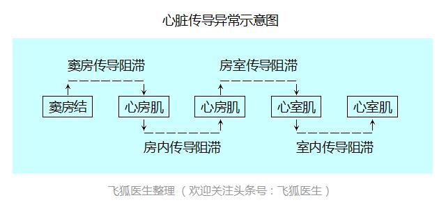 什么容易引起房室传导阻滞,房室传导阻滞什么病