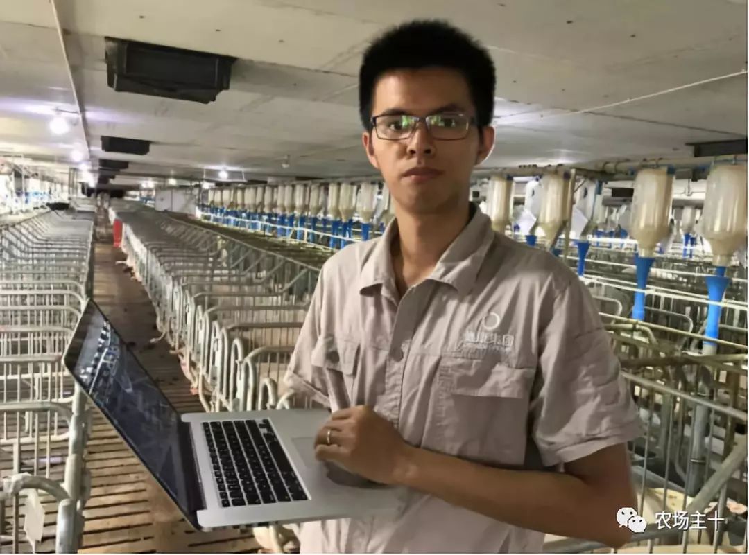 马云耕地亩产多少,马云谈现代农业