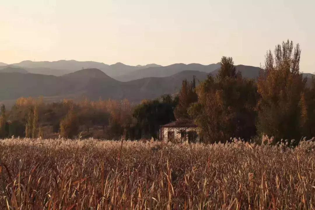 冬季去中卫黄河宿集民宿,中卫黄河宿集民宿多少钱