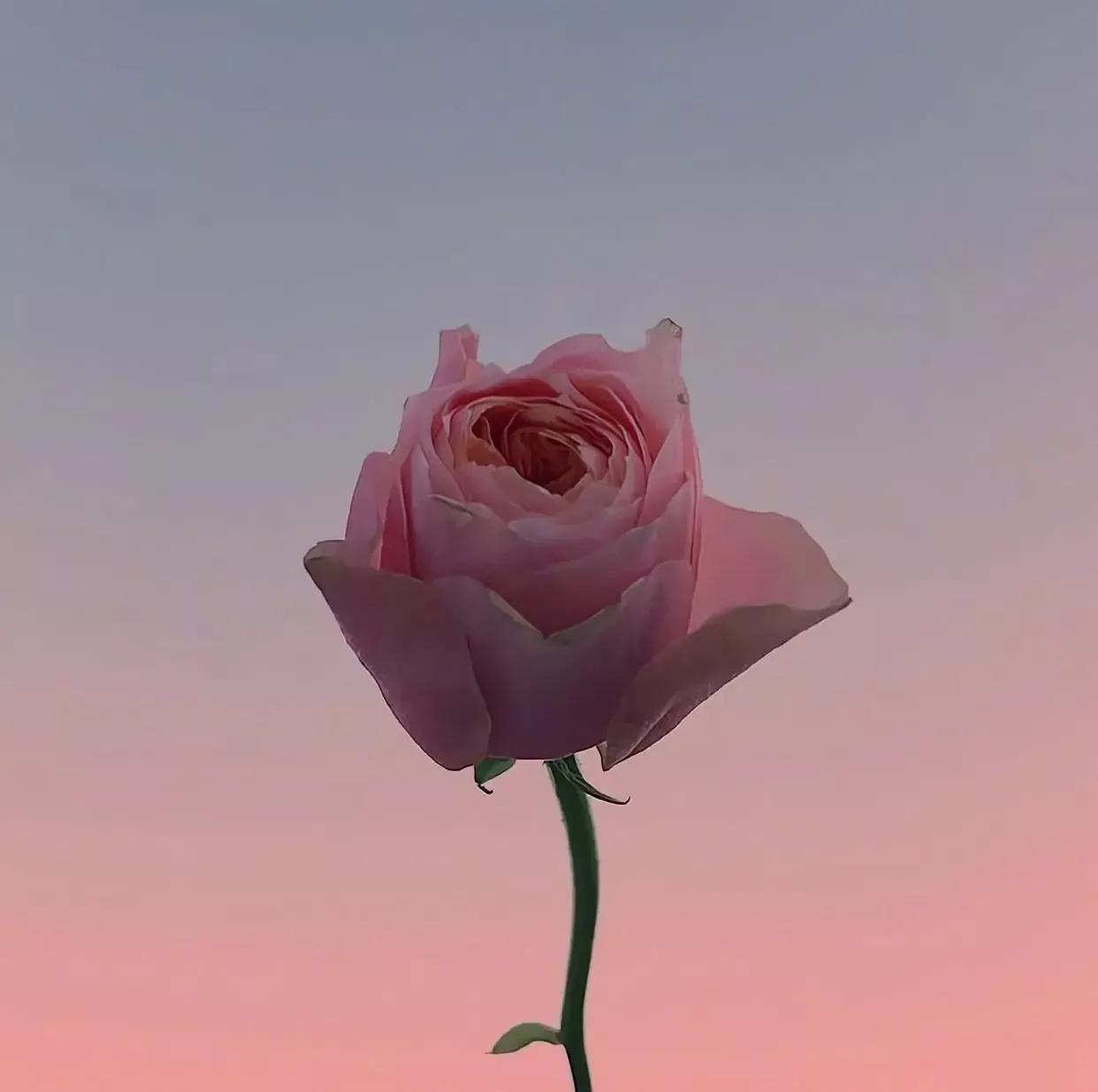 聪明的女人是怎么面对男人的绝情,男人很绝情的时候女人该怎么做