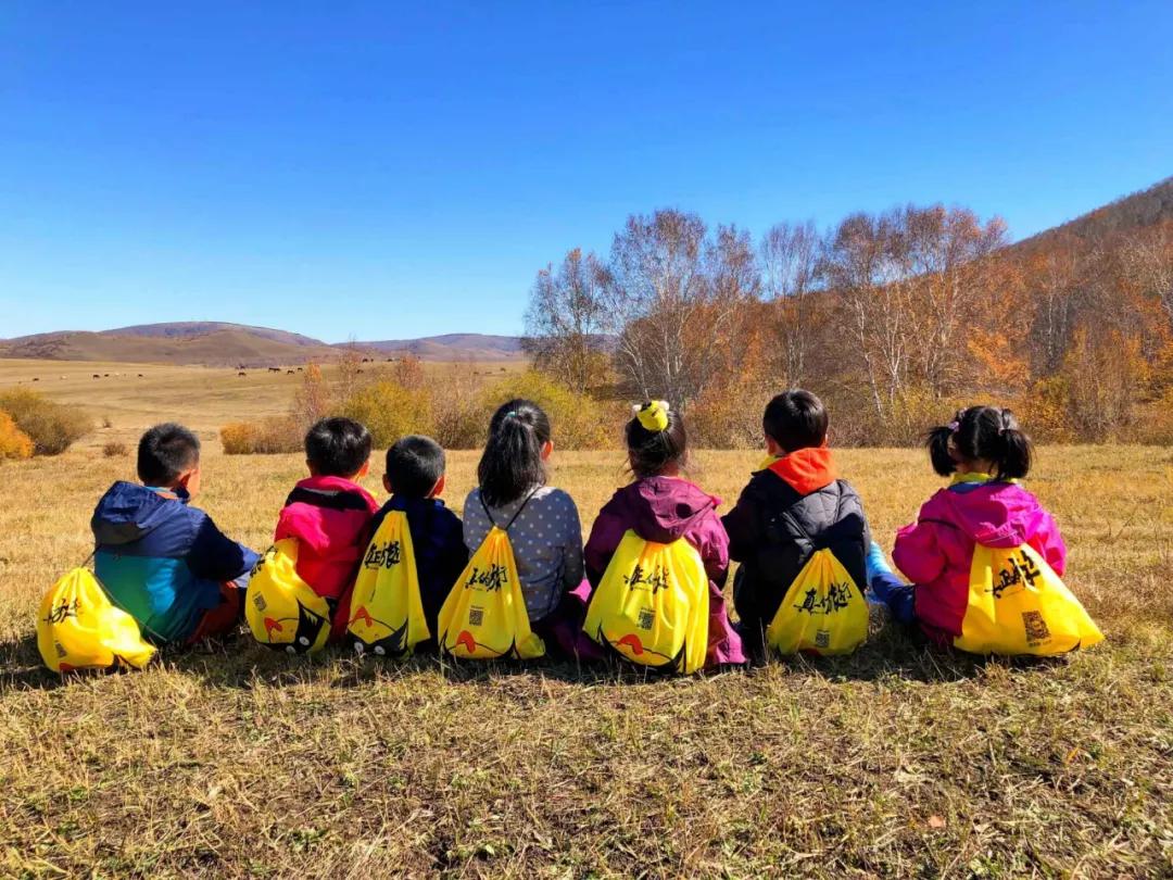 坝上秋色之金色草原,坝上金色草原风景