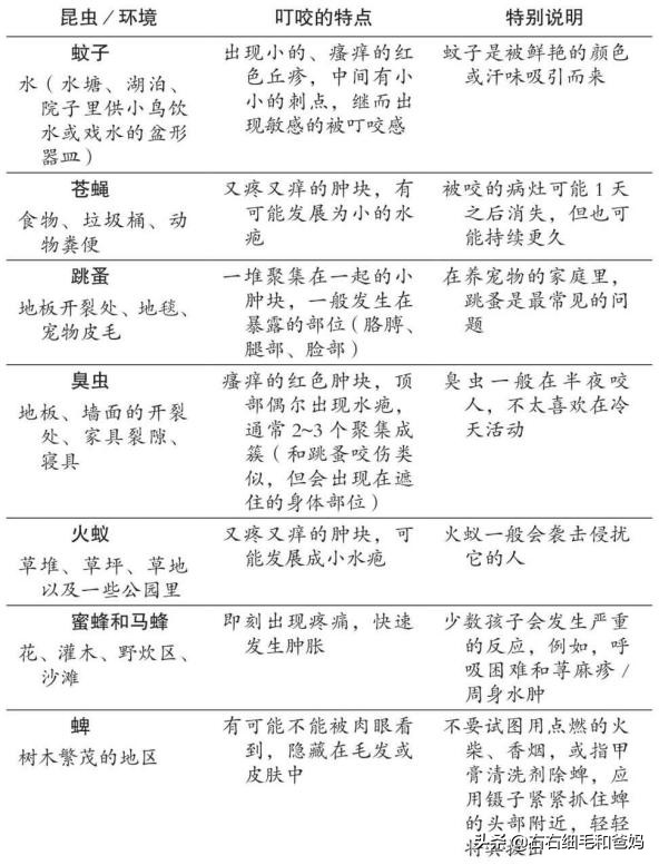 安全有效的驱蚊产品,避蚊产品自己动手