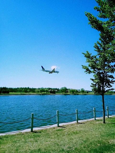 顺义适合露营的郊野公园,你自己知道就行