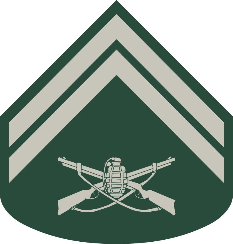 巴西军队标志,巴西海军军衔