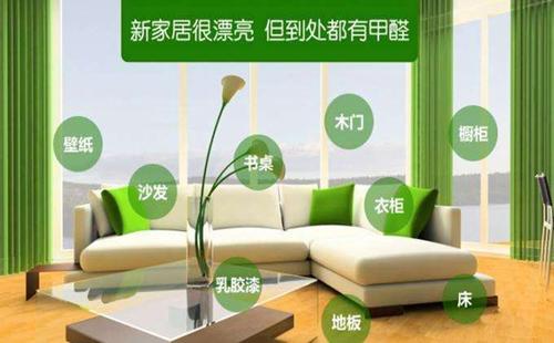 绿植除甲醛到底有效吗,绿植除甲醛有效吗