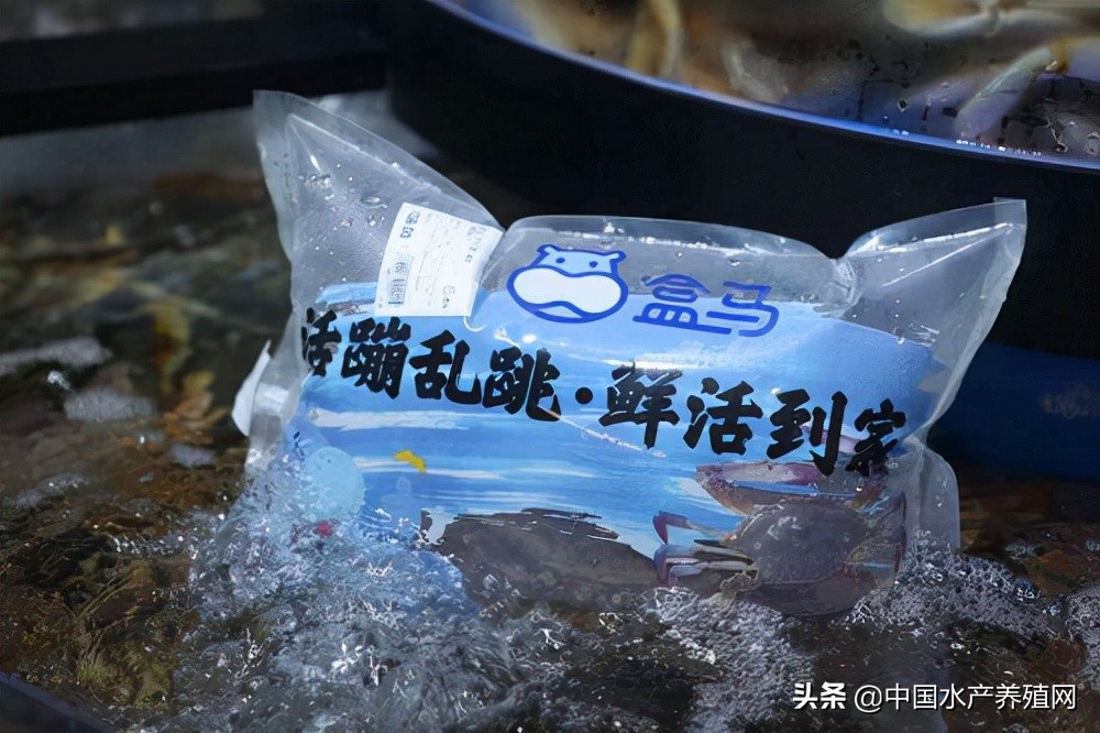 盒马鲜生合肥首家,盒马鲜生入驻肥东