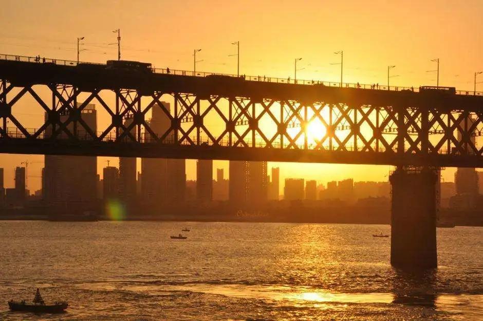 “我还没见过有那个城市的春天，能比武汉还美！”