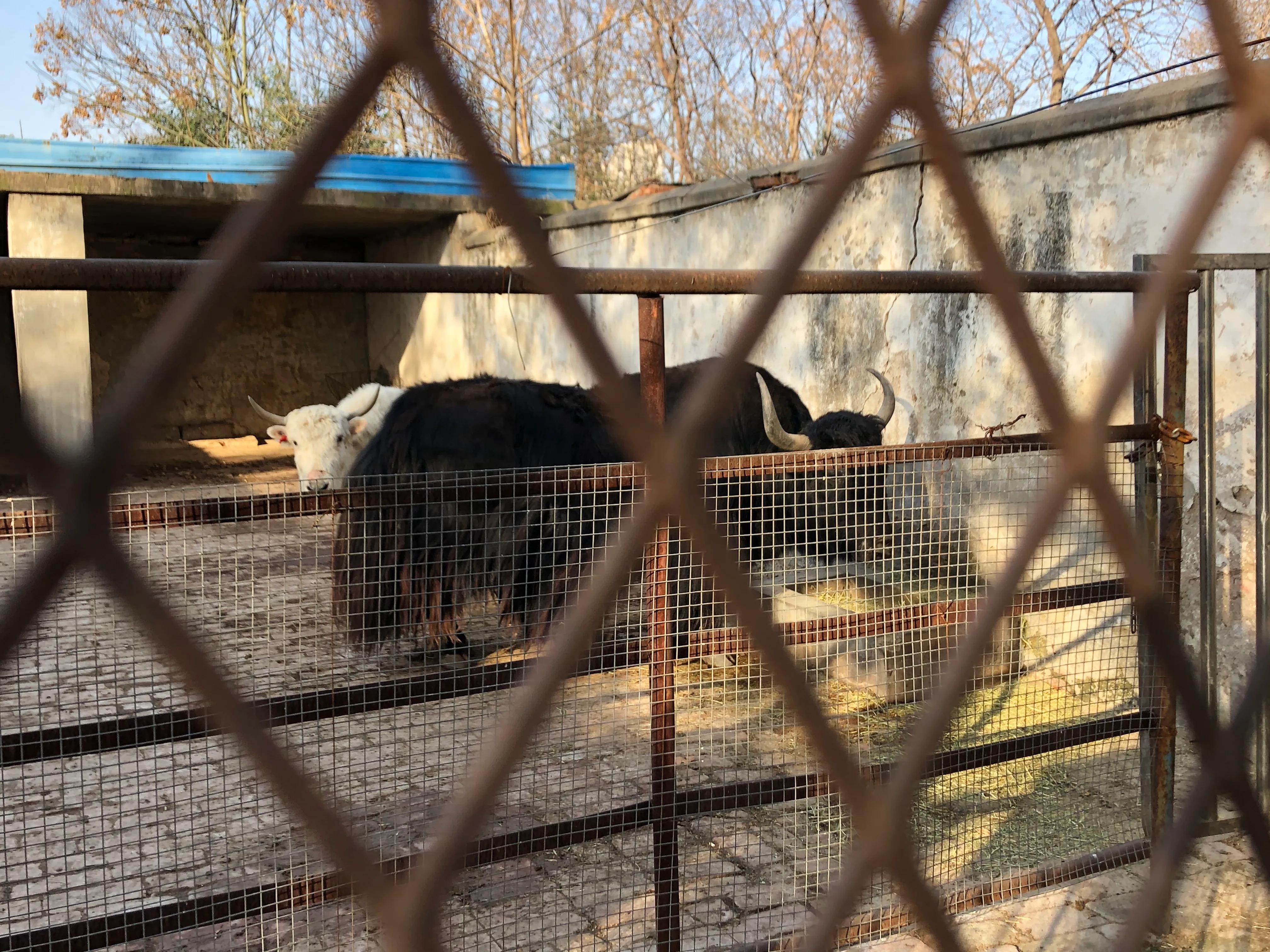 平顶山河滨公园旅游攻略,平顶山森林公园游记