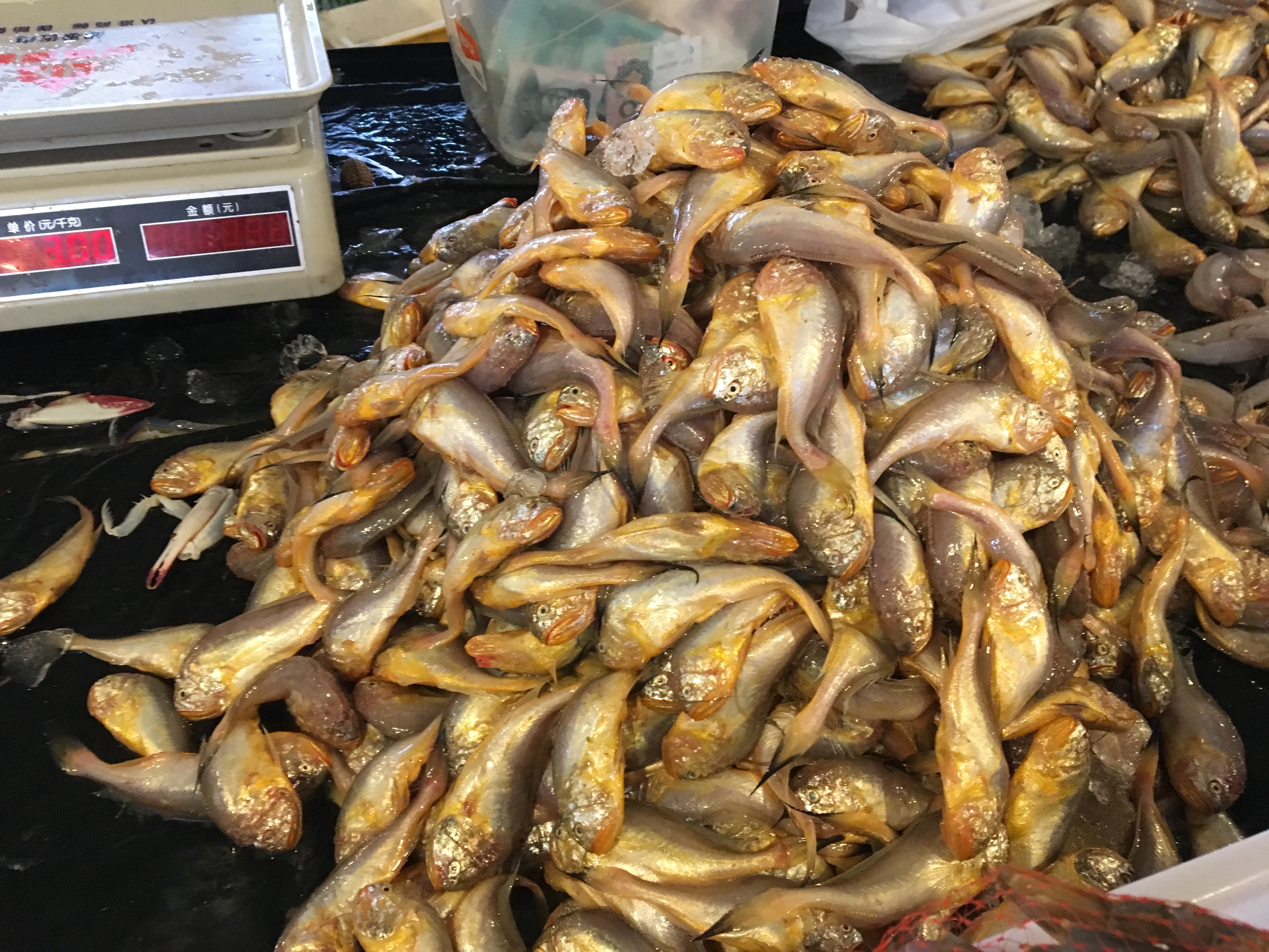 冷冻梭子蟹如何做盐蟹,怎么腌梭子蟹才好吃