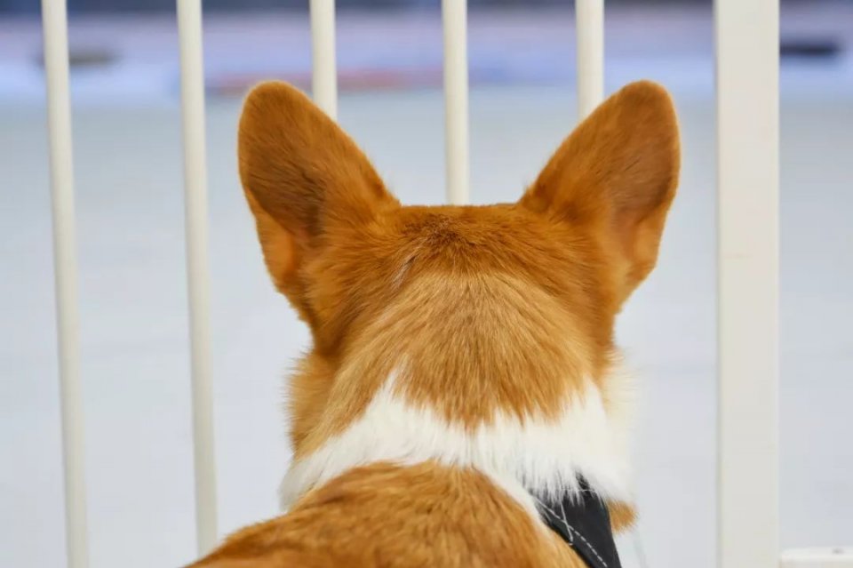 专门摸屁股的店，任摸