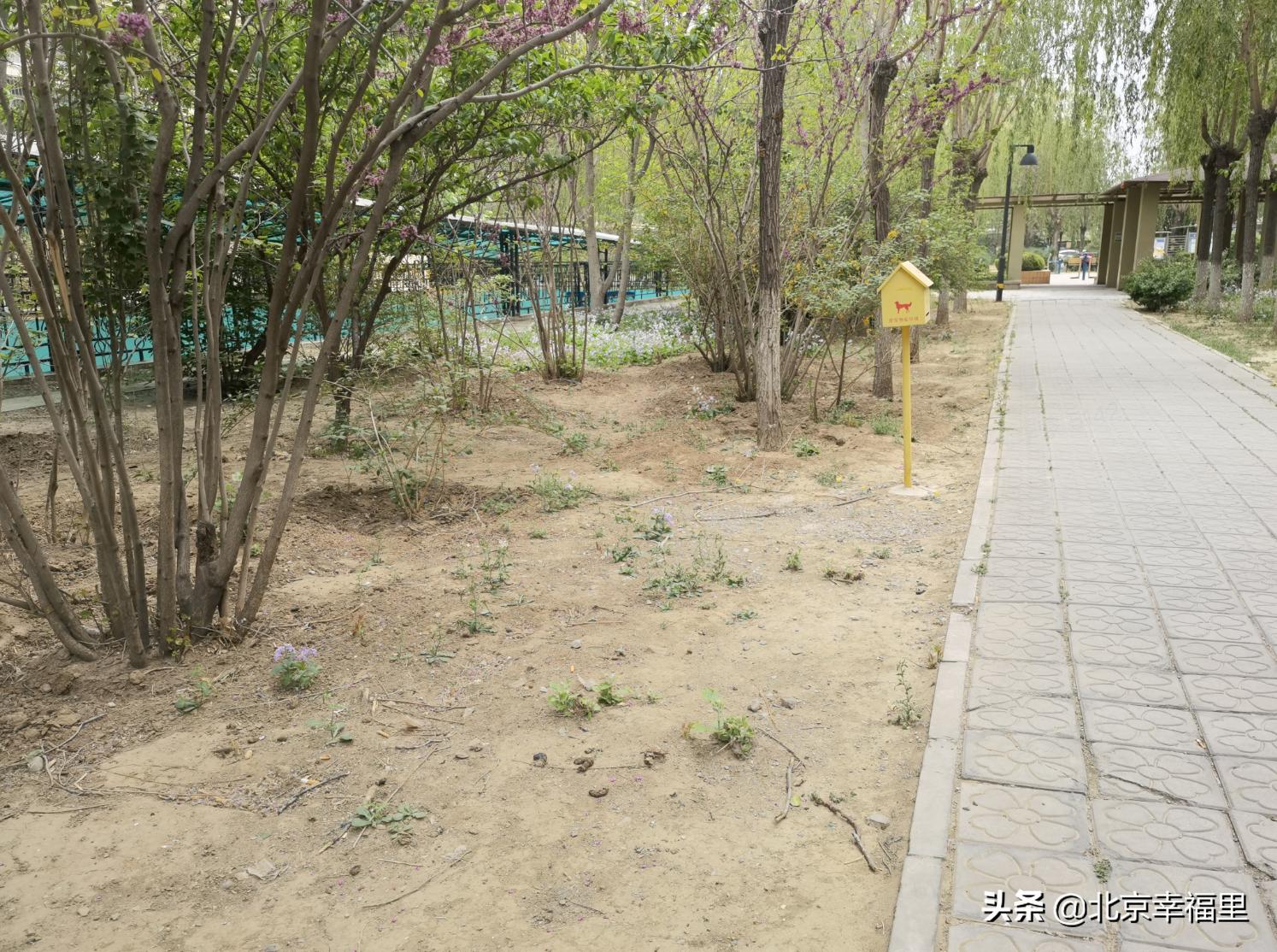 17号线对天通苑房价的影响,北京地铁17号线通车天通苑东区