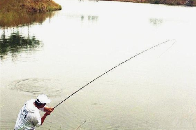 最好的鲤鱼钓法,全网钓鲤鱼最好的钓法