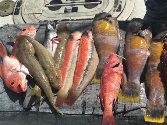 在澳洲的生活是一种怎样的体验：这边的人很懒，非常喜欢钓鱼