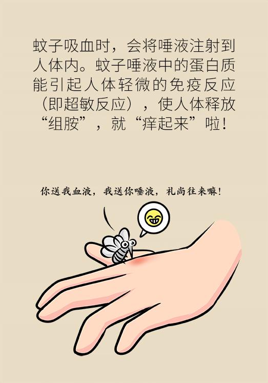 被蚊子吵得睡不着失眠了,被蚊子吵得睡不着