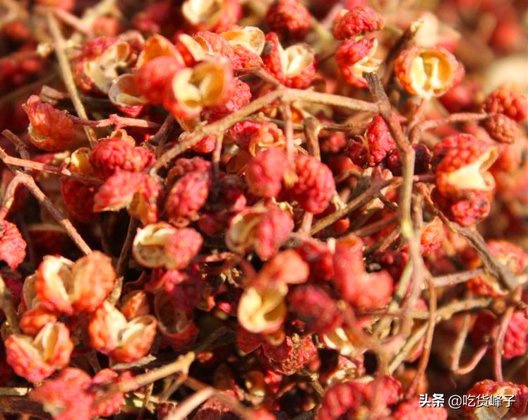 炖鱼用什么香料可以去腥增香,炖鱼料怎么用好吃又没腥