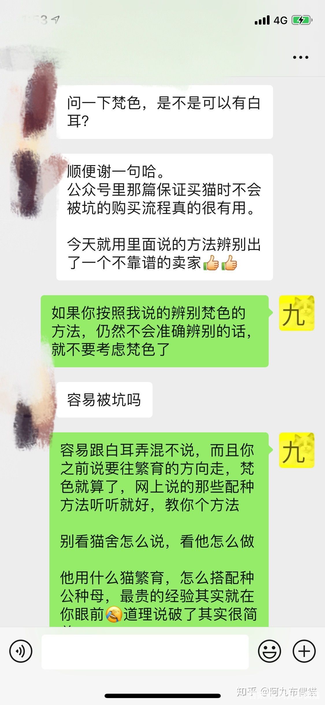 布偶猫舍推荐买什么猫粮,正规布偶猫舍推荐及其地理位置