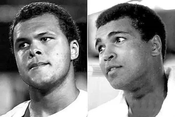 德国特松加,特松加视频