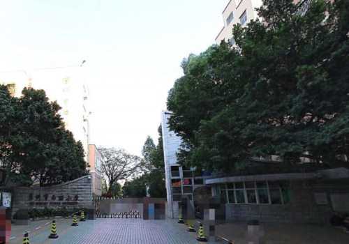 深圳沙西小学积分,南山区西丽小学入学积分