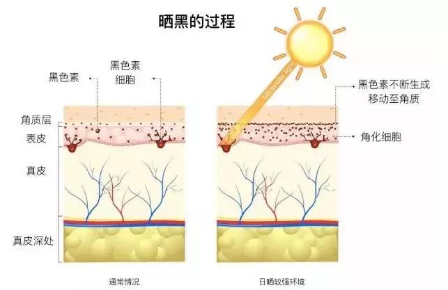 甜馨怎么这么白了,甜馨为啥那么黑