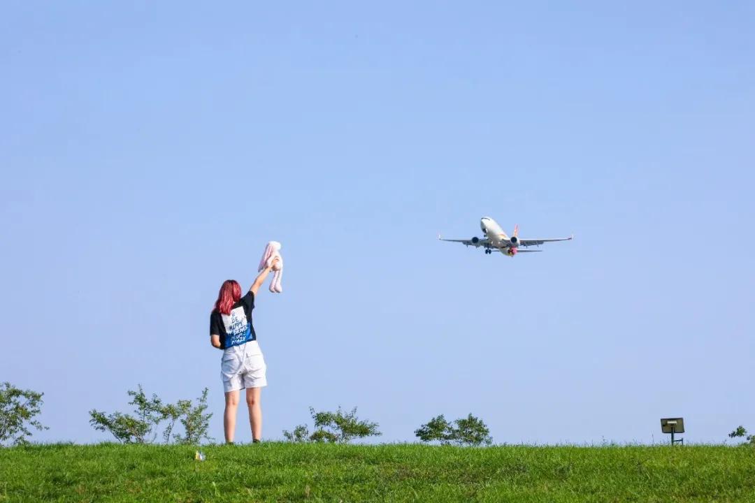 北京人少景美赏秋的公园,北京赏秋中山公园