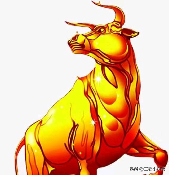 2025年寡妇年什么意思,2023年的寡妇年是啥意思