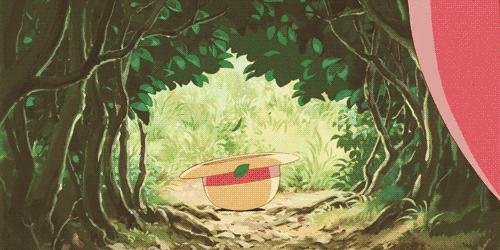 宫崎骏小龙猫的图片可以涂颜色,宫崎骏龙猫可爱视频