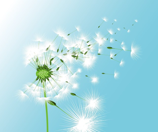 如何看待吃狗肉人,对吃狗肉的评论