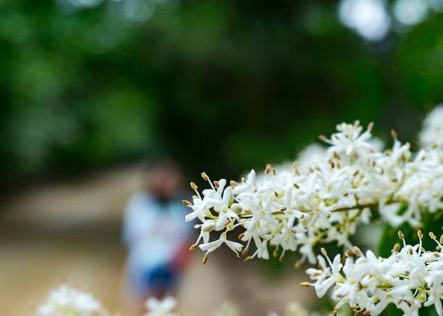 日照文旅,日照旅游攻略