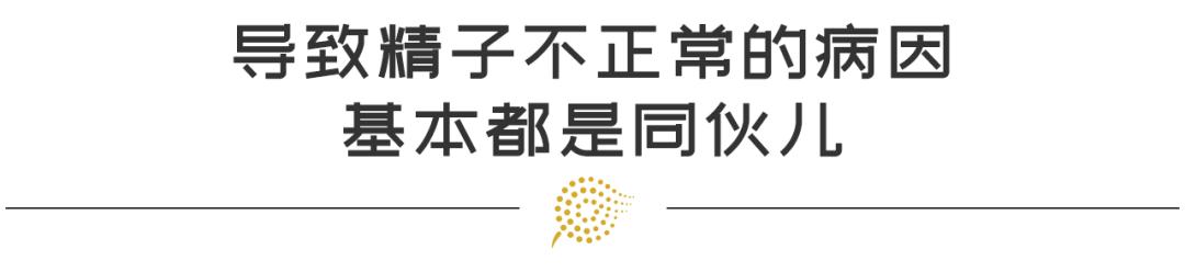 弱精死精少精怎么治,精少死精弱精无精中医怎么治