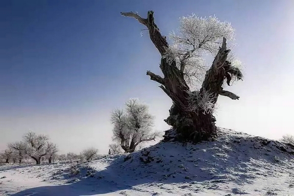巴音布鲁克镇冬天的生活,巴音郭楞自治州和静县冬天