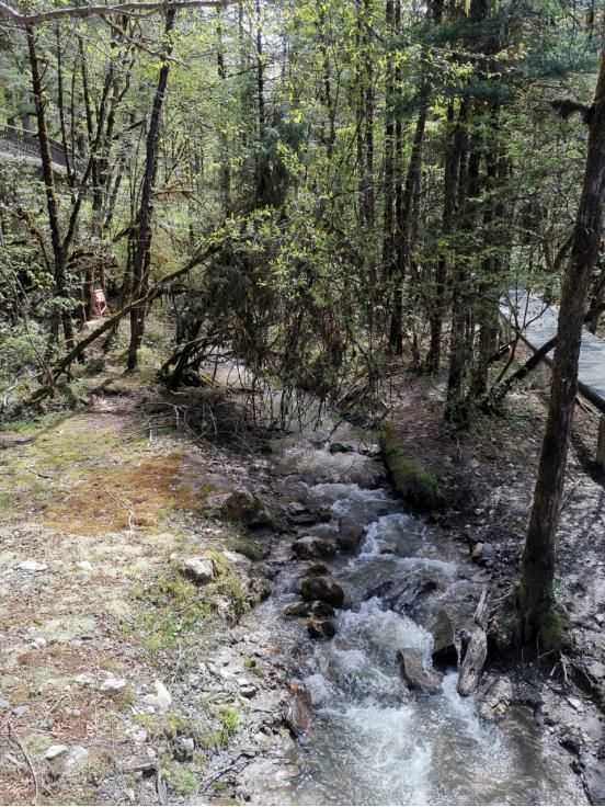 海螺沟燕子沟四日游,海螺沟燕子沟风景区