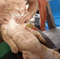 高考前突然来月经咋办,高考紧张失眠怎么治