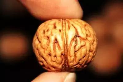 脑纹桃核手串的正确盘法,脑纹桃核怎么挑选