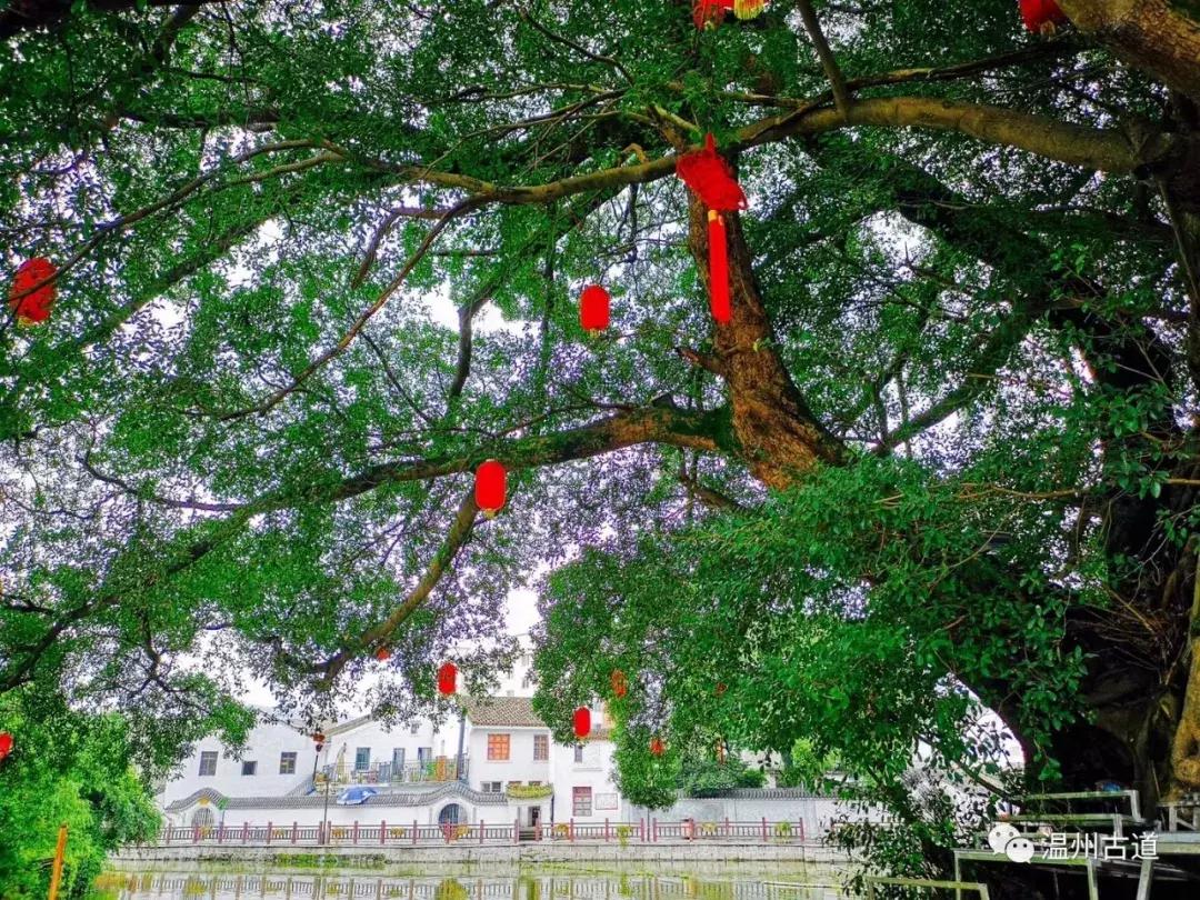 千年古村平阳县鸣山村古城夜景,平阳昆阳鸣山古村落