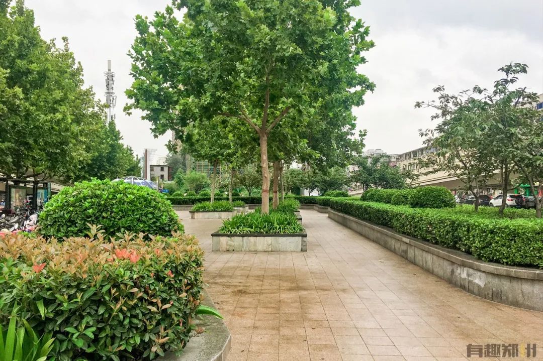 棉纺东路街道,棉纺东路到陇海路桐柏路