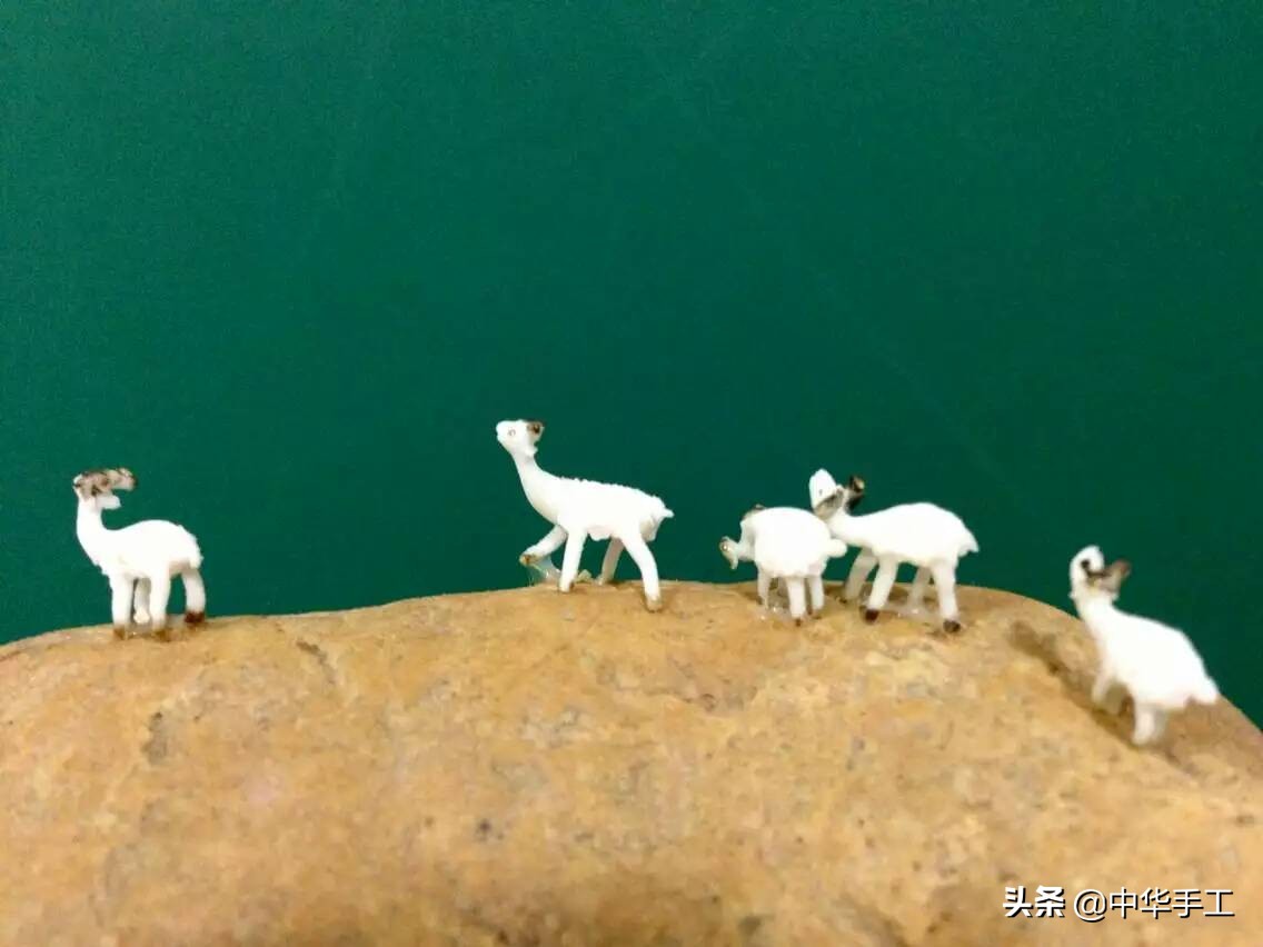 指尖上的微塑：“麻雀虽小，五脏俱全”