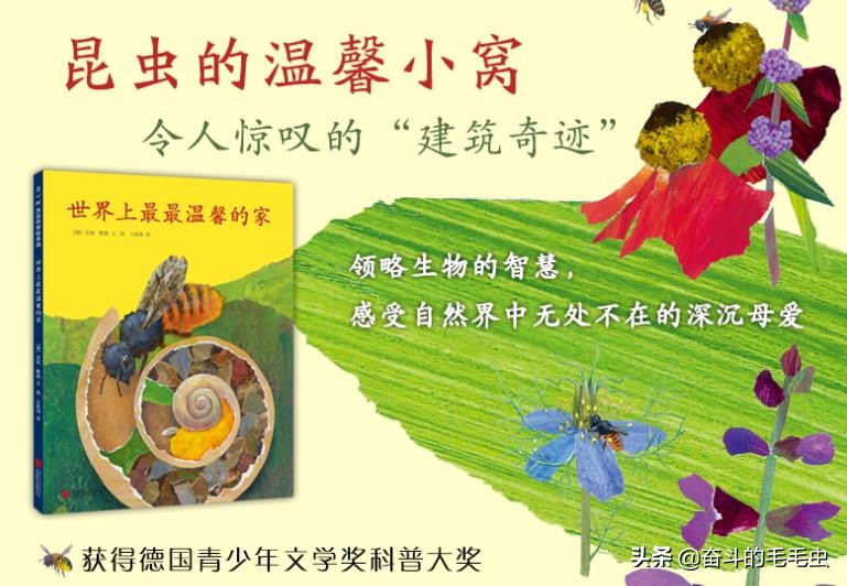 绘本哪里便宜又正版,绘本购买哪家最优惠