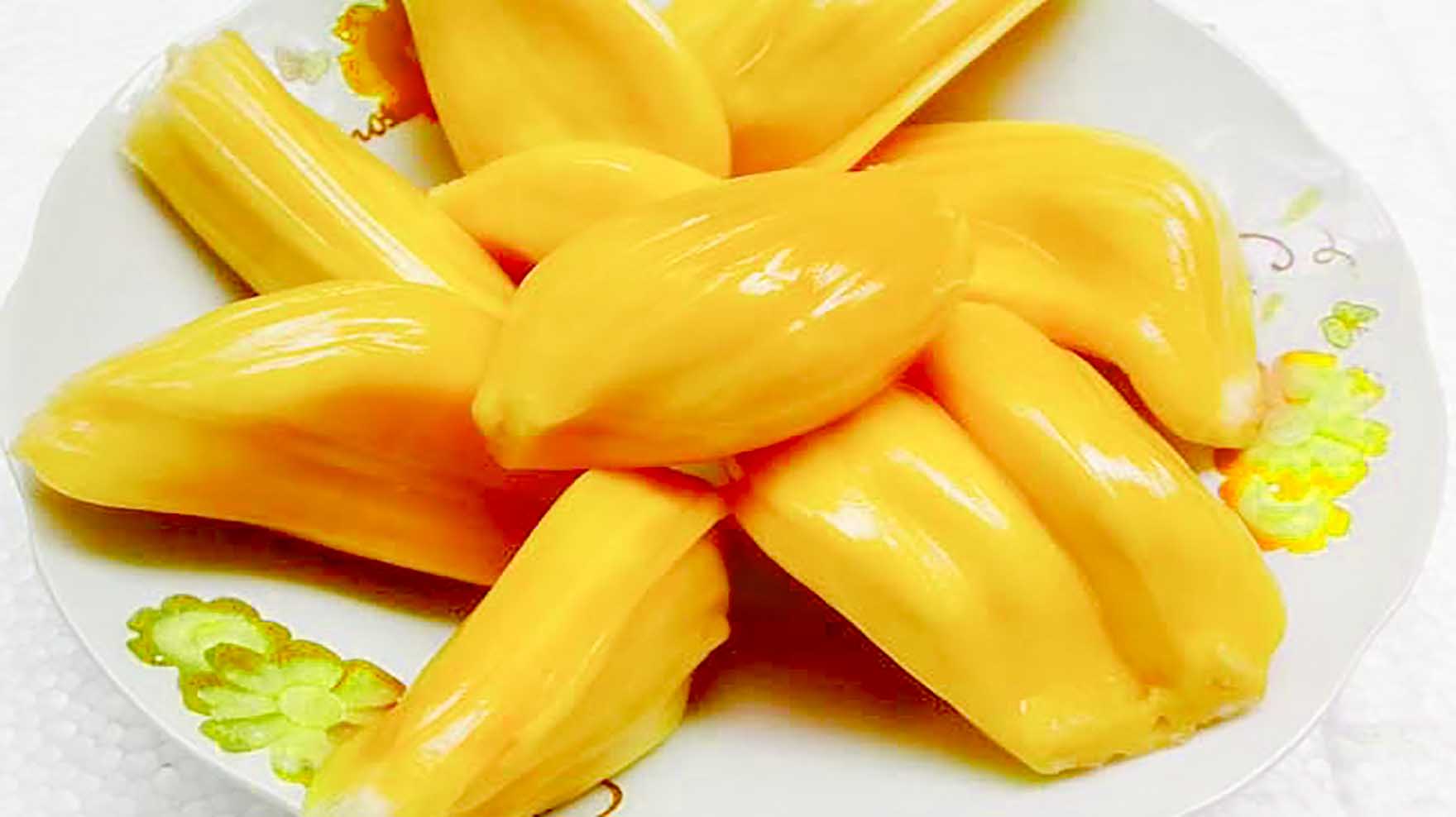 兴隆热带植物园里，到底藏了多少秘密