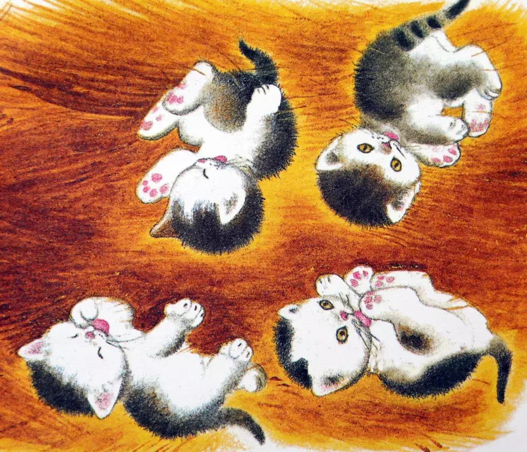 羞答答的小猫绘本故事,绘本阅读有趣的小猫