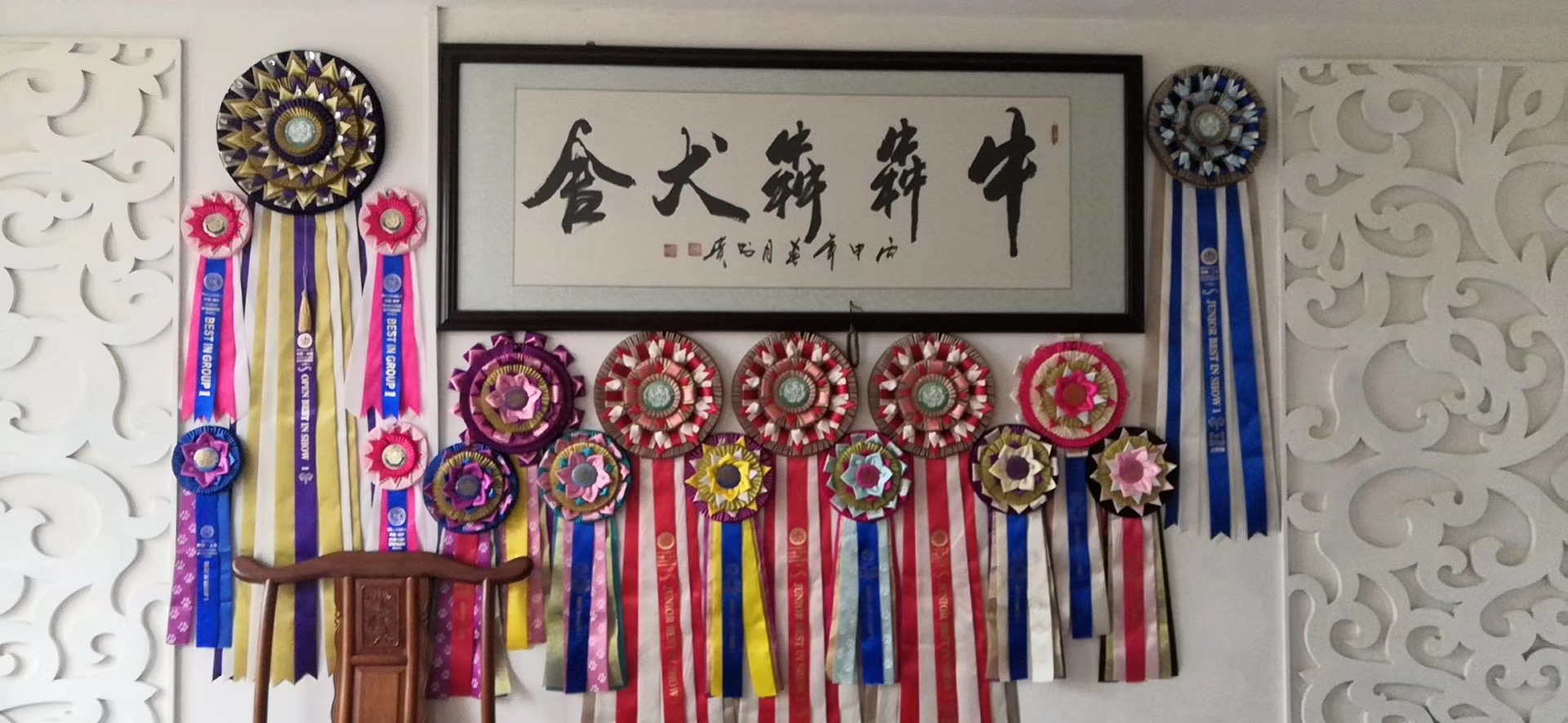 中国法斗犬舍,中国知名法斗犬舍