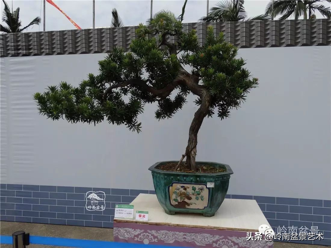 开运招财，非其莫属！清风雅韵，当之无愧！