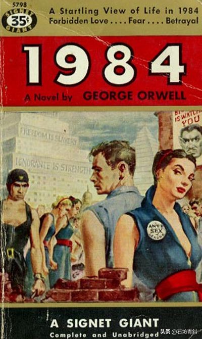 乔治奥威尔的1984讲了什么,1984乔治奥威尔故事