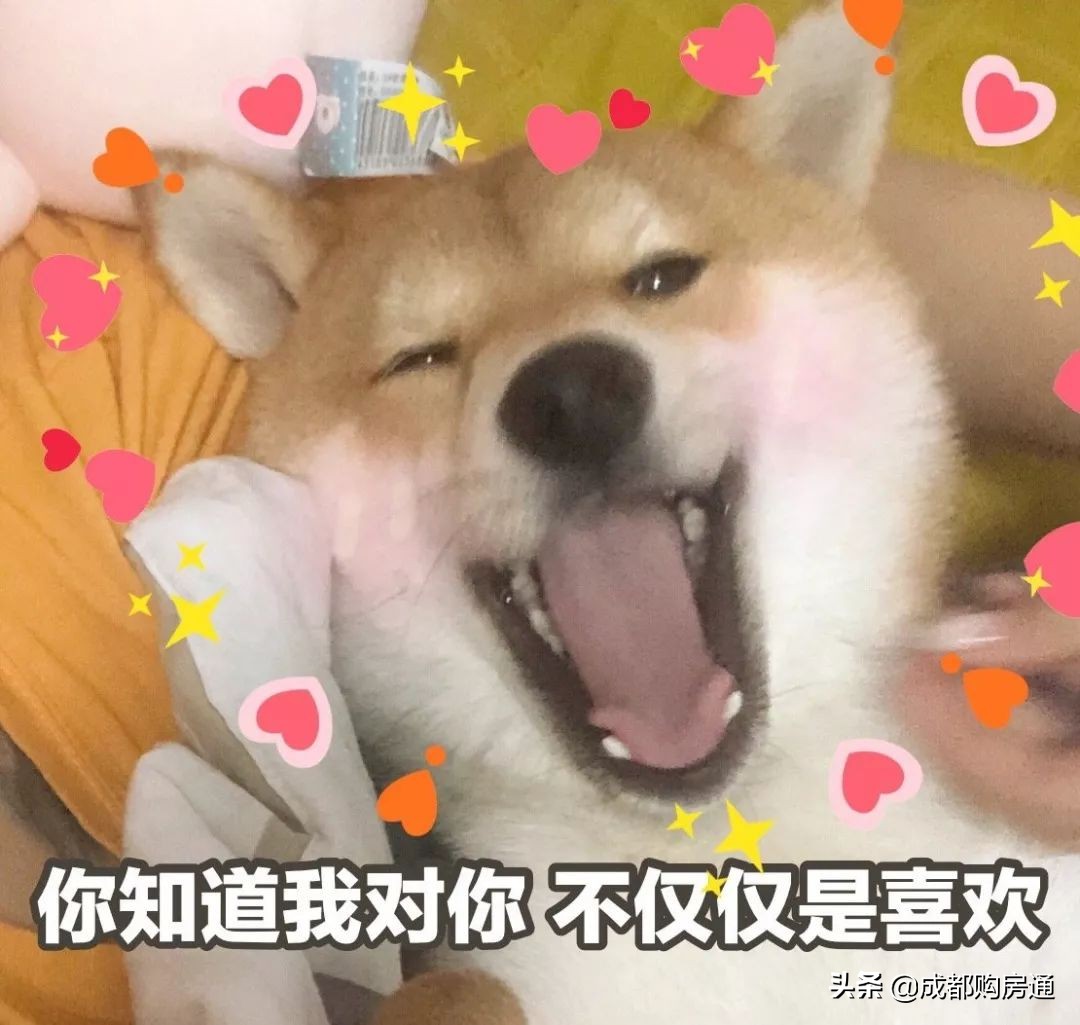 地铁13号线周围楼盘规划图,地铁11号线四期沿线受益的楼盘