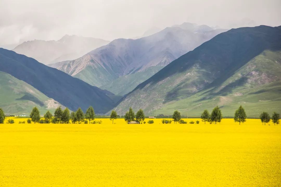 青海旅游攻略景点必去,一生一定要去一次青海吗