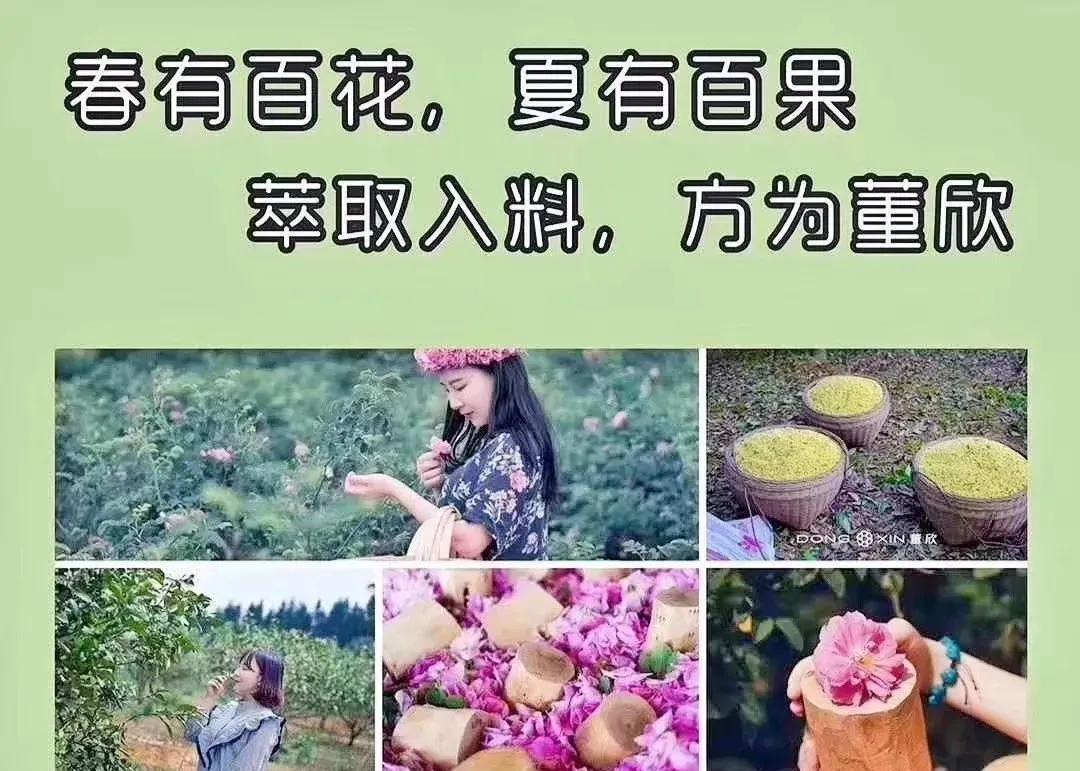 董欣是怎样的一个品牌,董欣怎么看是正品
